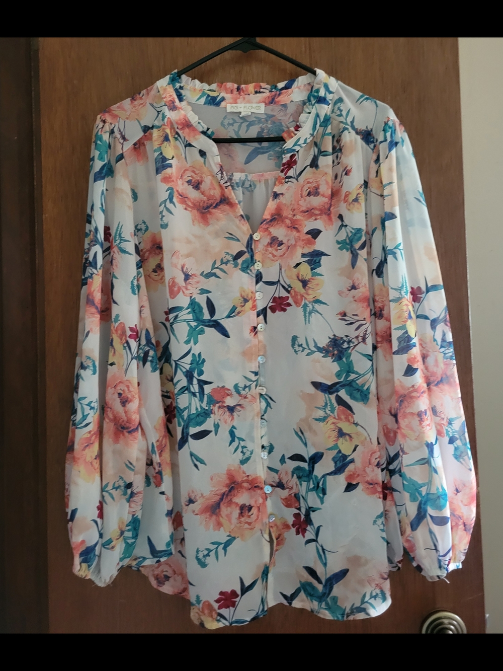 Figueroa and Flower Sheer Floral Blouse.